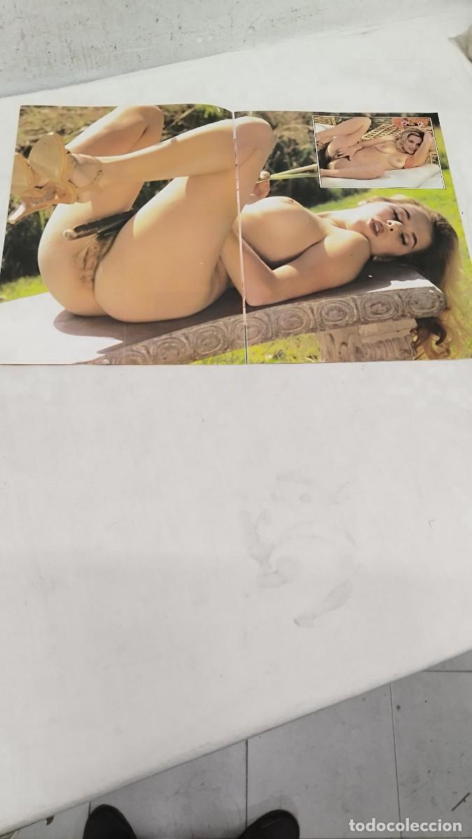 Journals: Antiguas p&aacute;ginas de revista, er&oacute;tica para adultos.posters de doble pagina rubias