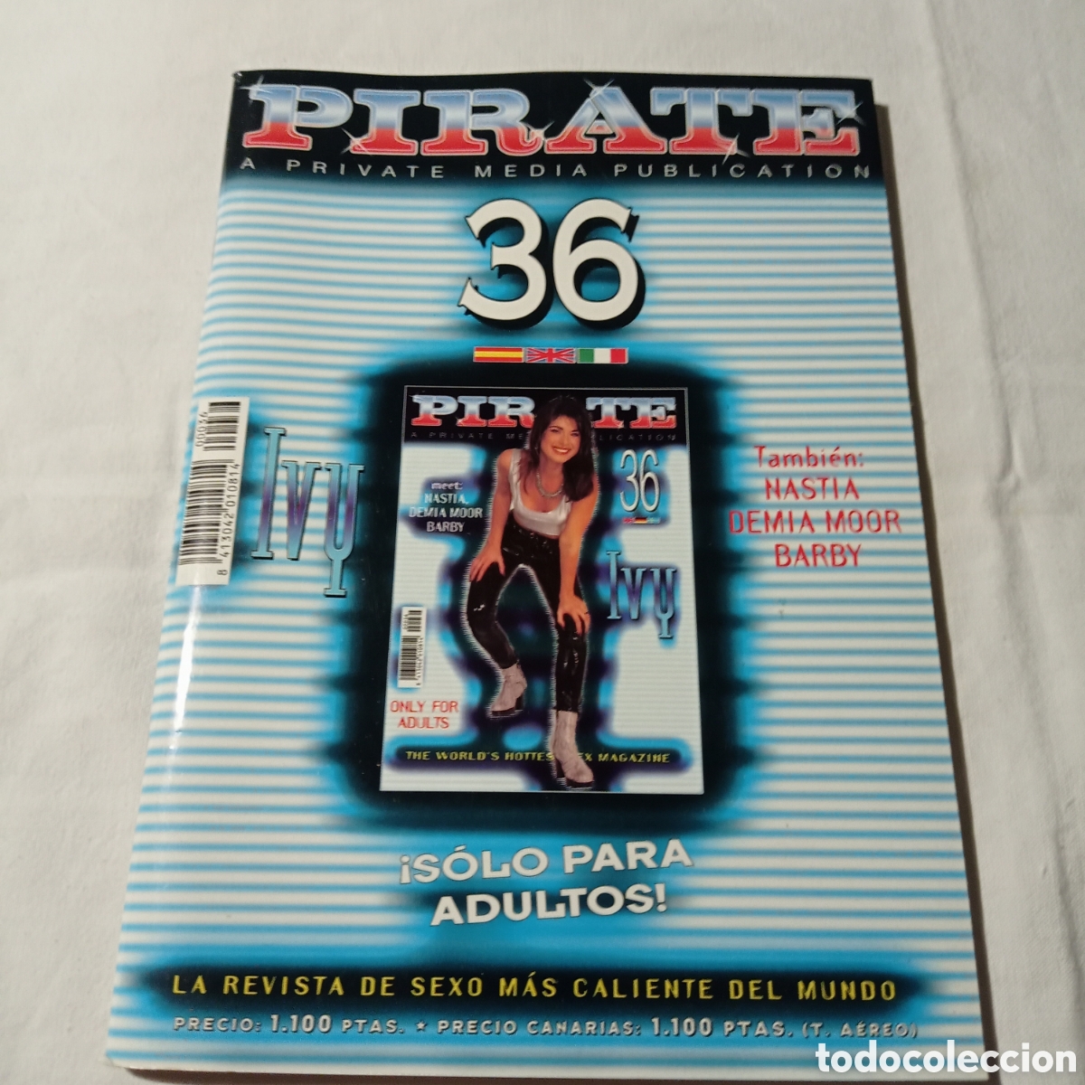 Journals: Revista PIRATE de PRIVATE, N36