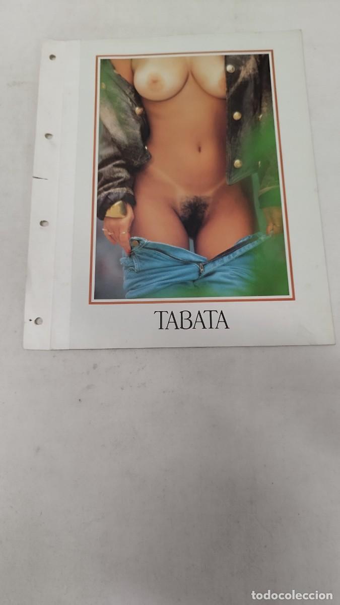 Magazines: Secci&oacute;n,varias p&aacute;ginas de una revista penthouse.Tabata,de la 23 a la 42, de la 99 a la 118.