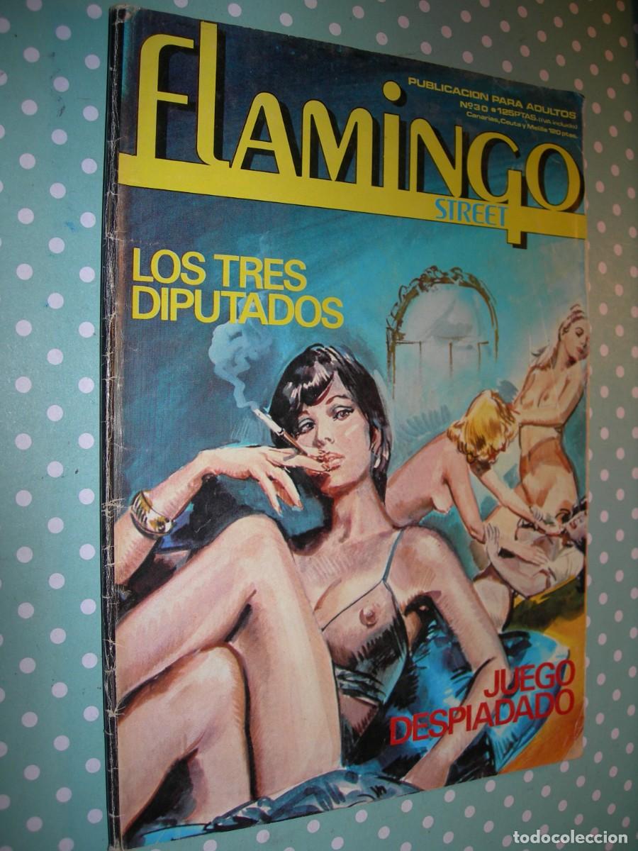 Zeitschriften: FLAMINGO STREET / REVISTA PORNO / ADULTOS