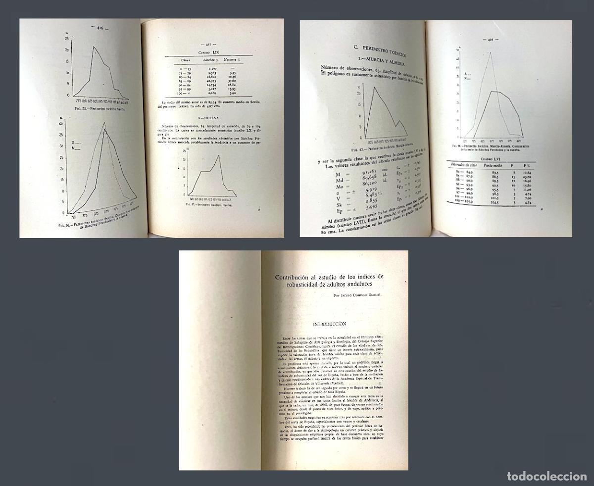 Zeitschriften: Indices de robusticidad de adultos andaluces. (Tallas, Pesos, Per&iacute;metros tor&aacute;cicos, Provincias, Etc.