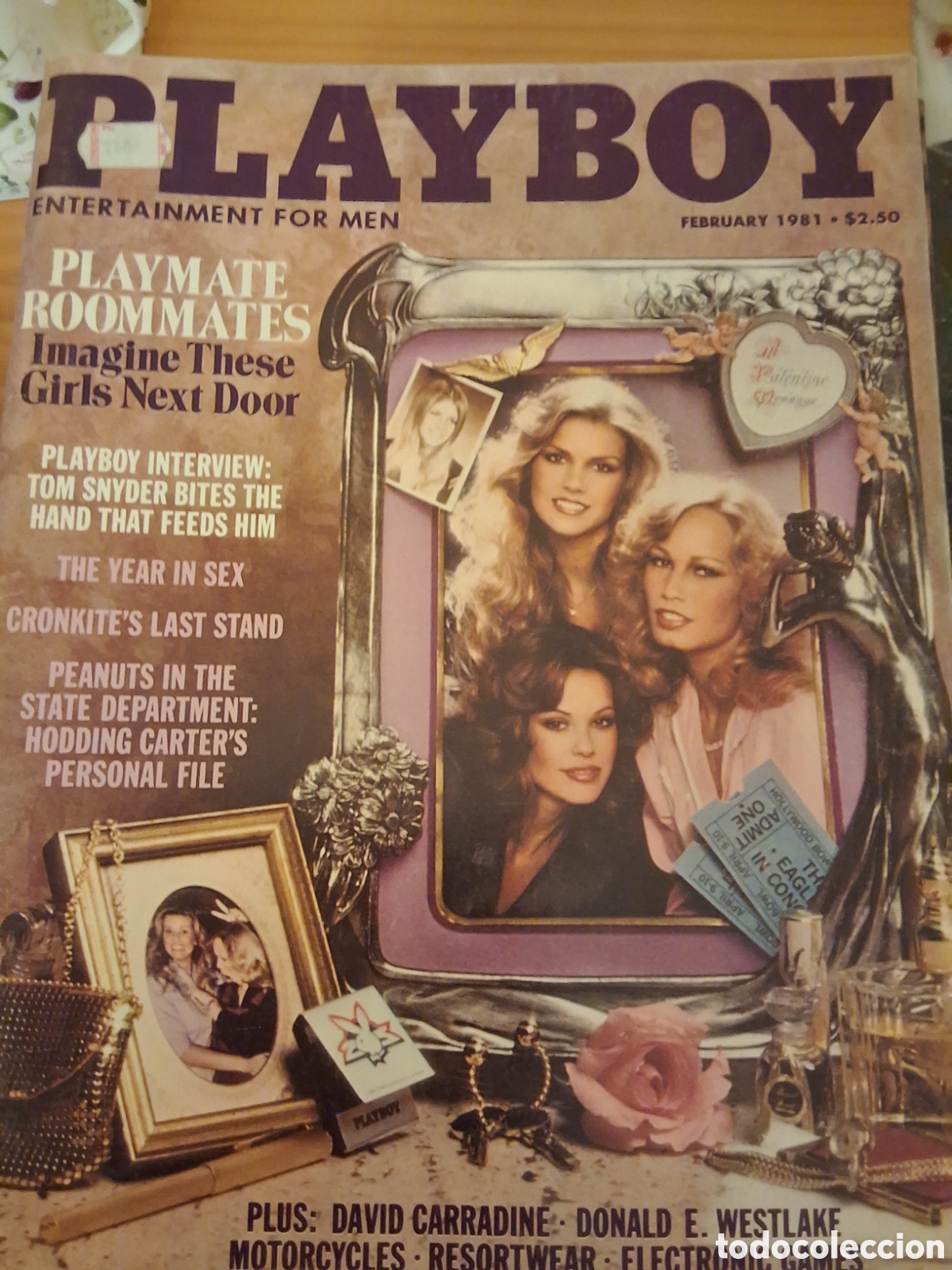 Journals: Playboy americano mensual revista erotica desnudos mujeres 1981/2 Vicky Lasseter