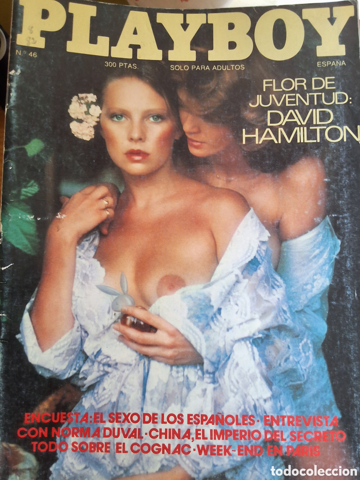 Journals: Playboy mensual espa&ntilde;ol revista erotica desnudos mujeres 1982/8 Lynda Wiesmeier Hamilton