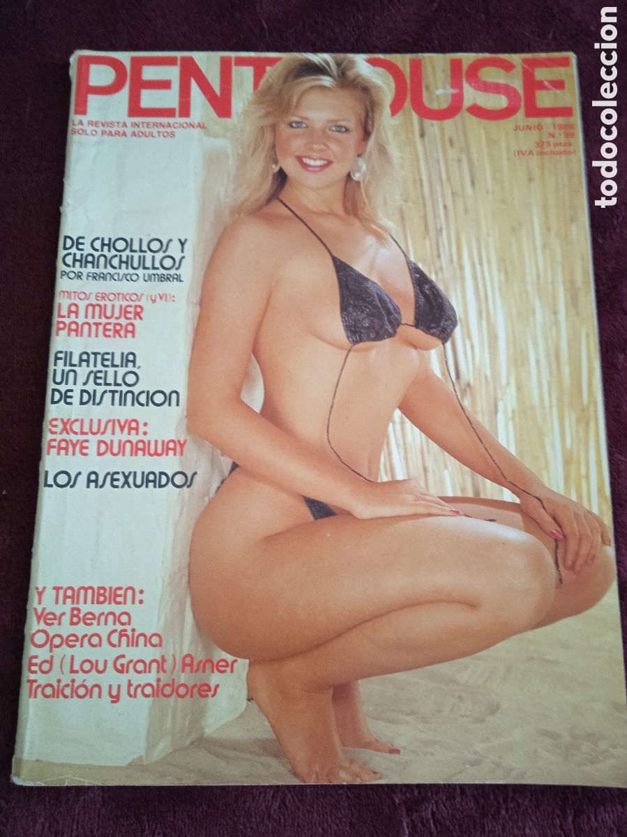 Journals: PENTHOUSE N&ordm; 99 JUNIO 1986 SUSAN NAPOLI, LINDSAY KEMP. LA MUJER PANTERA. ED ASNER.
