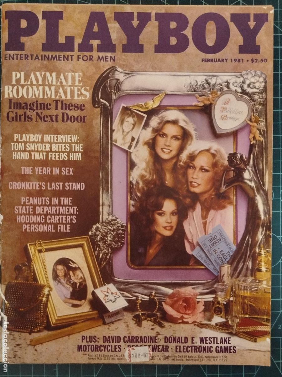 Journals: REVISTA PLAYBOY FEBRUARY 1981 TERRY WELLES TOM SNYDER DAVID CARRADINE