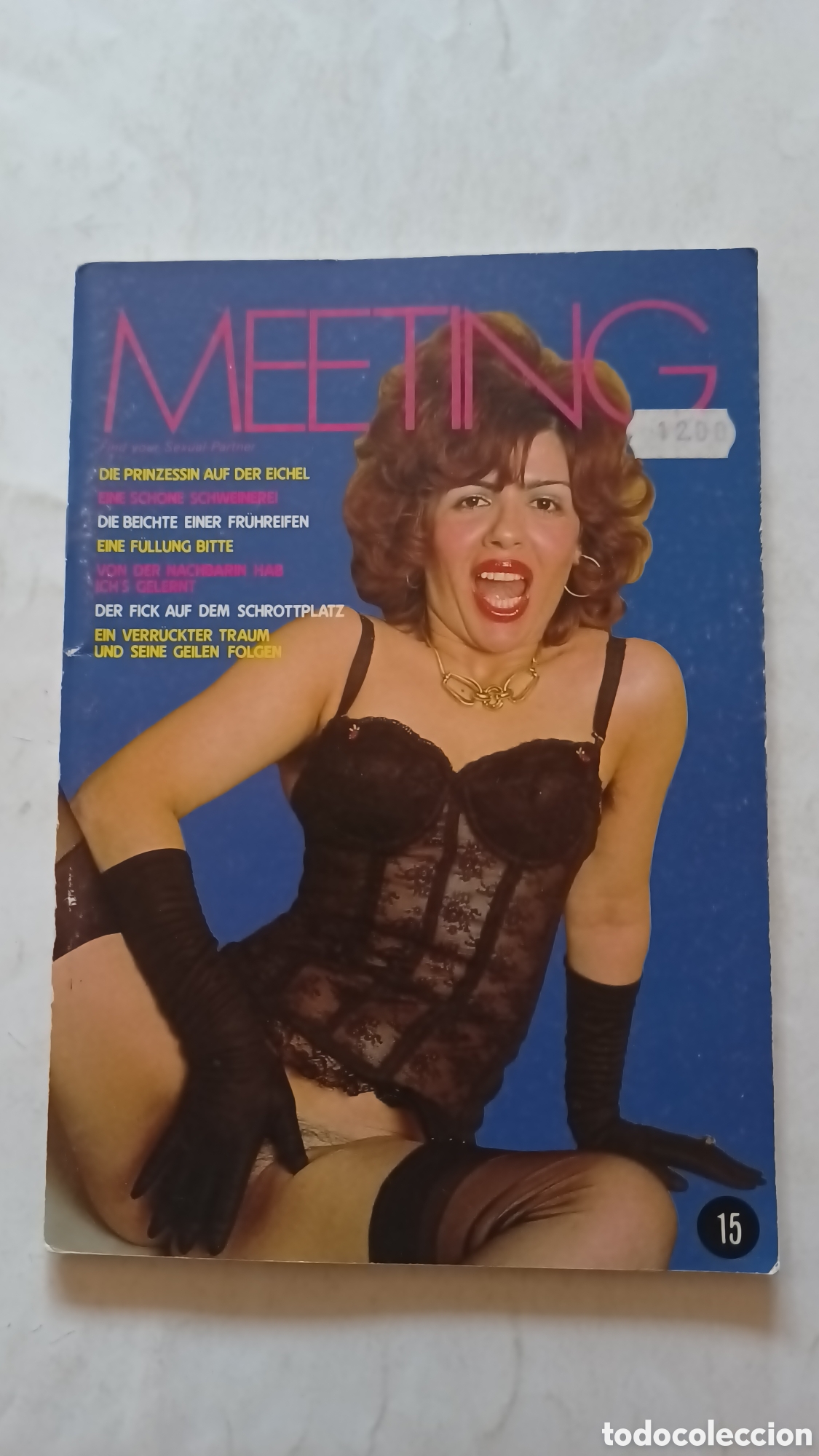 Journals: Meeting Nr 15..&auml;ltere Sex Magazin