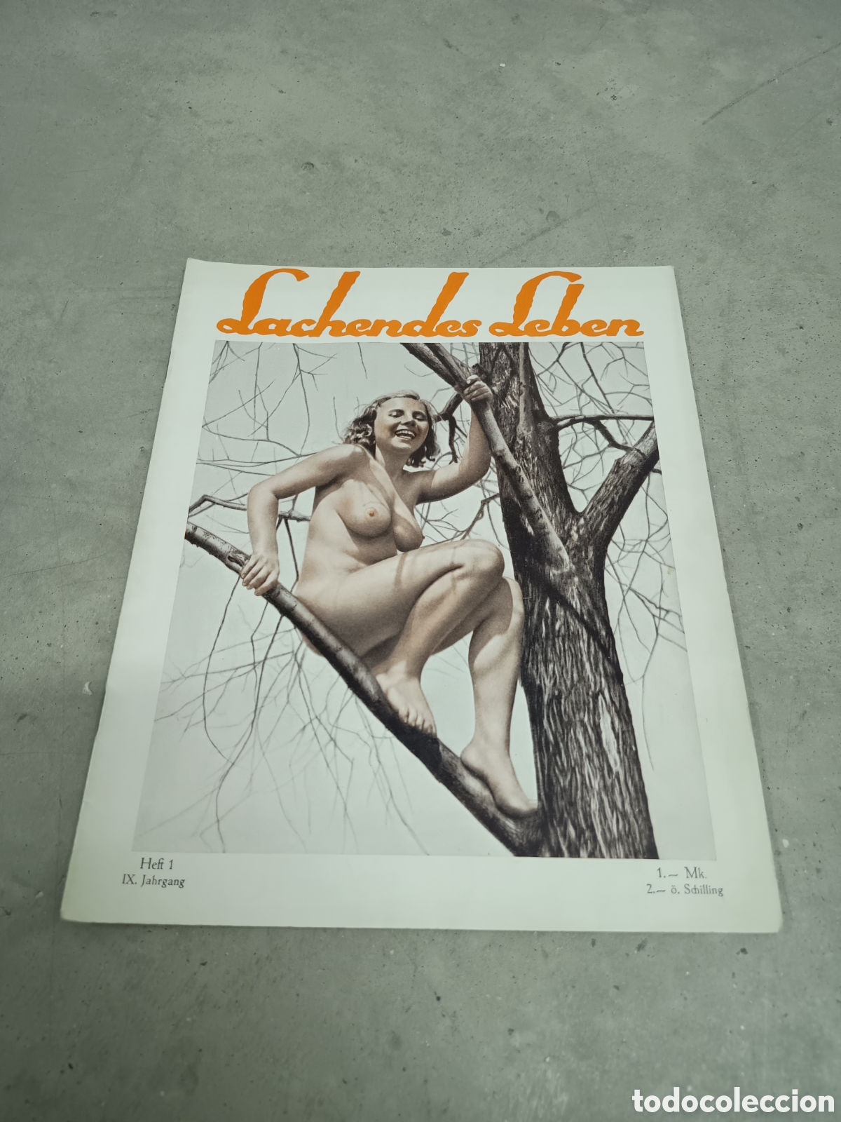 Revistas: REVISTA NATURISTA - A&Ntilde;OS 1930 - LACHENDES LEBEN - IX A&Ntilde;O N&deg; 1 - EN ALEM&Aacute;N