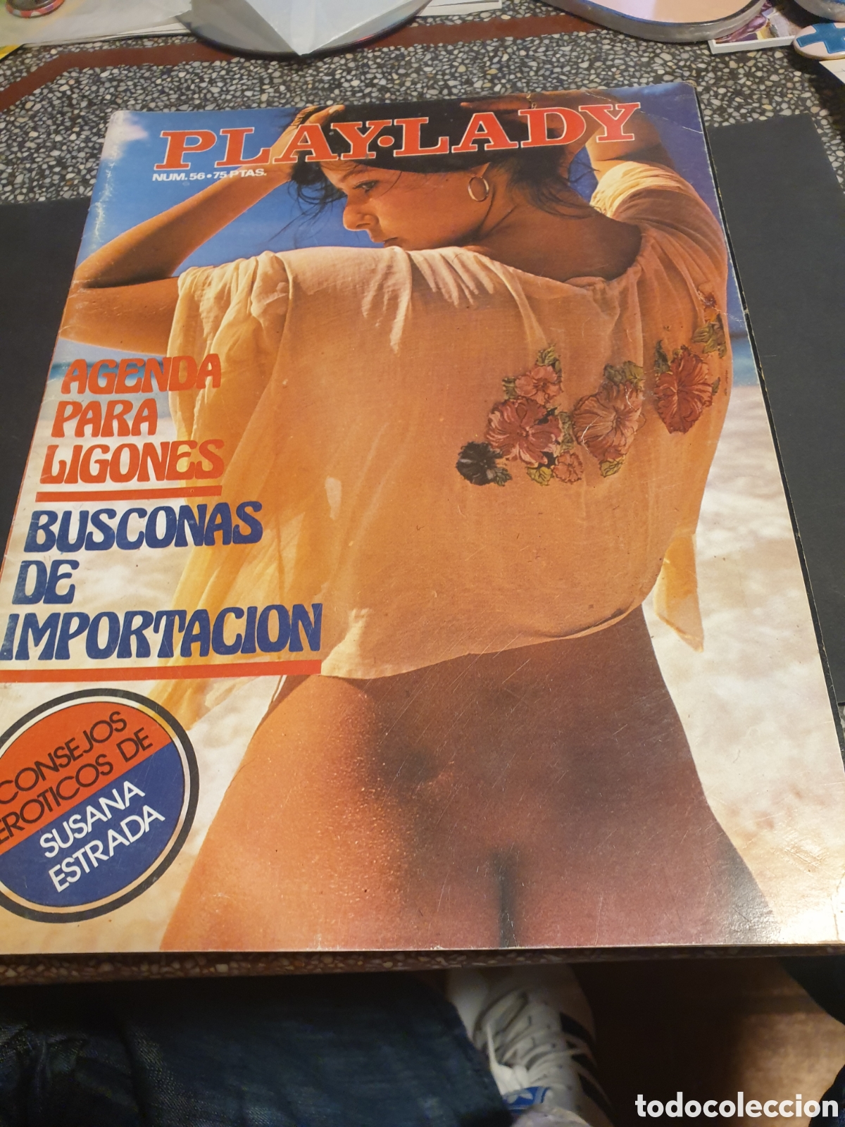 Journals: Revista erotica PLAY'LADY