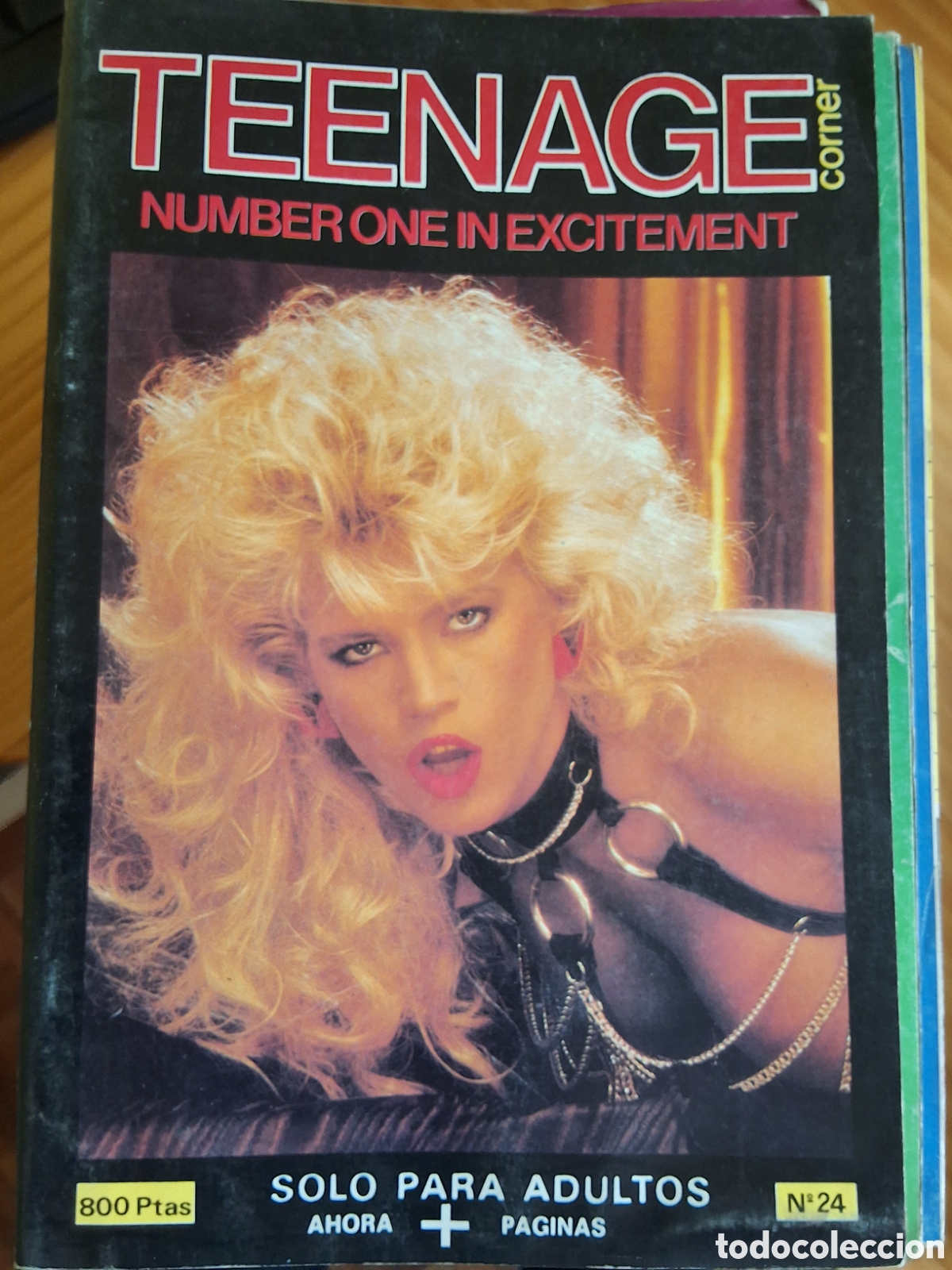 Zeitschriften: Teenage corner revista sexo para adultos n&uacute;mero 24 formato libro