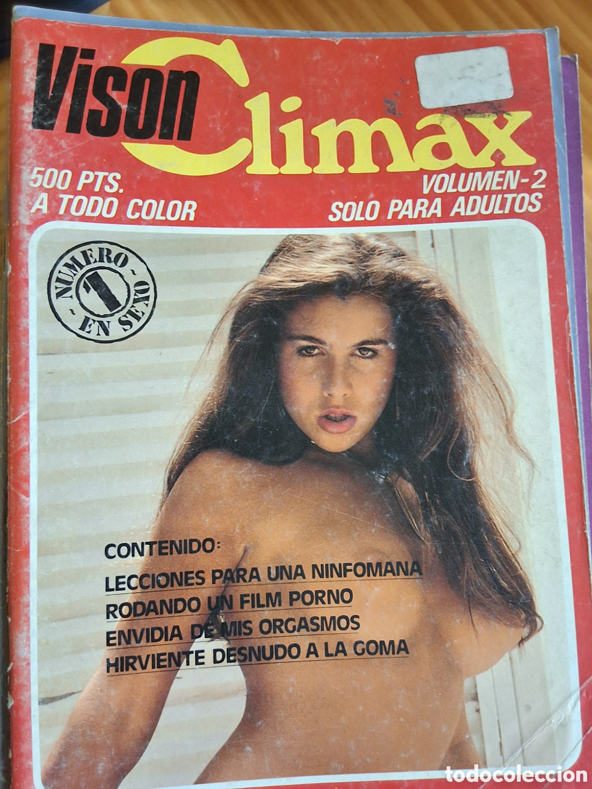 Zeitschriften: Visi&oacute;n climax revista sexo para adultos n&uacute;mero 2 formato libro