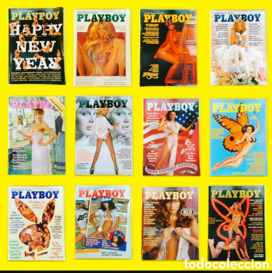 Journals: Playboy Revistas 12 n&uacute;meros completos a&ntilde;os 1976