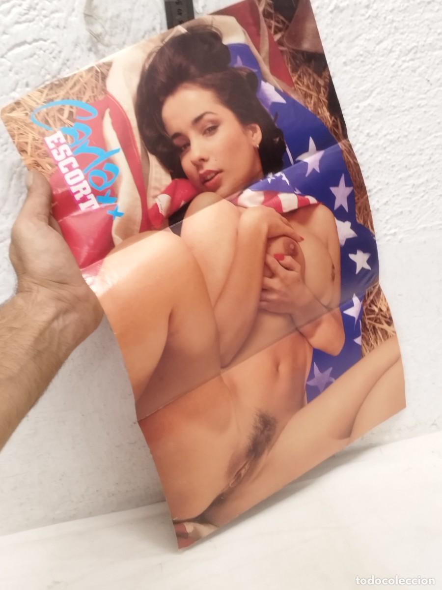 Magazines: Postrer de revista para adultos Escort. Carlaxx Vol. 14 N&ordm;3. Porno.