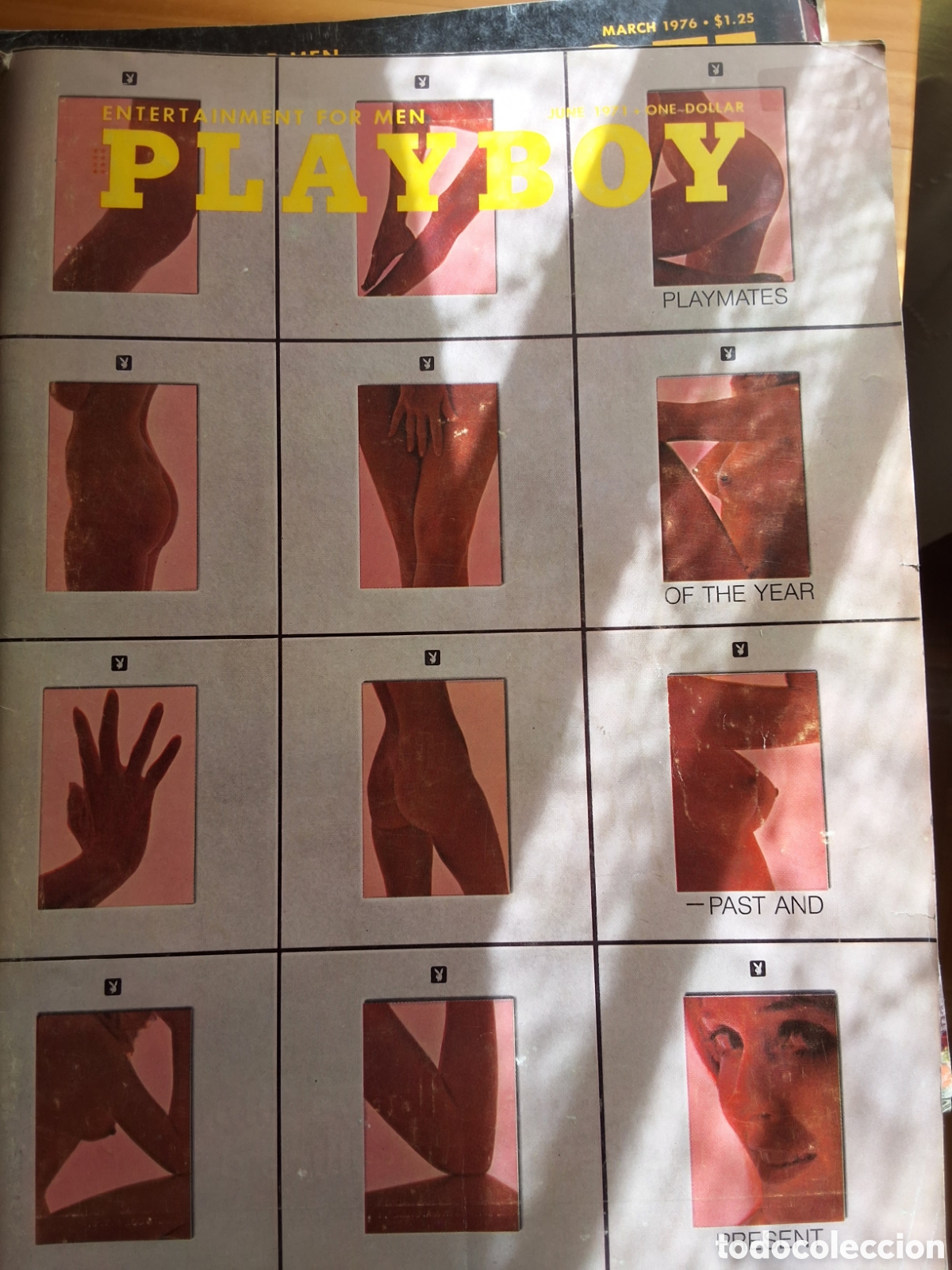 Journals: Playboy americano mensual revista erotica desnudos mujeres 1971/6 Lieko