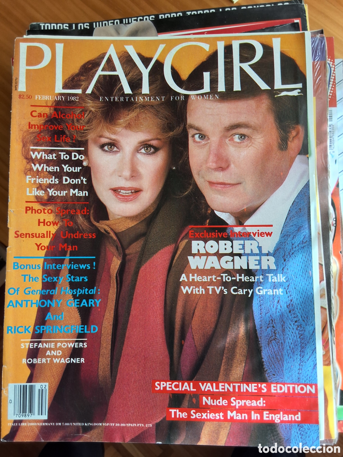 Magazines: Playgirl americano revista er&oacute;tica desnudos masculinos 1982/2 Robert Wagner