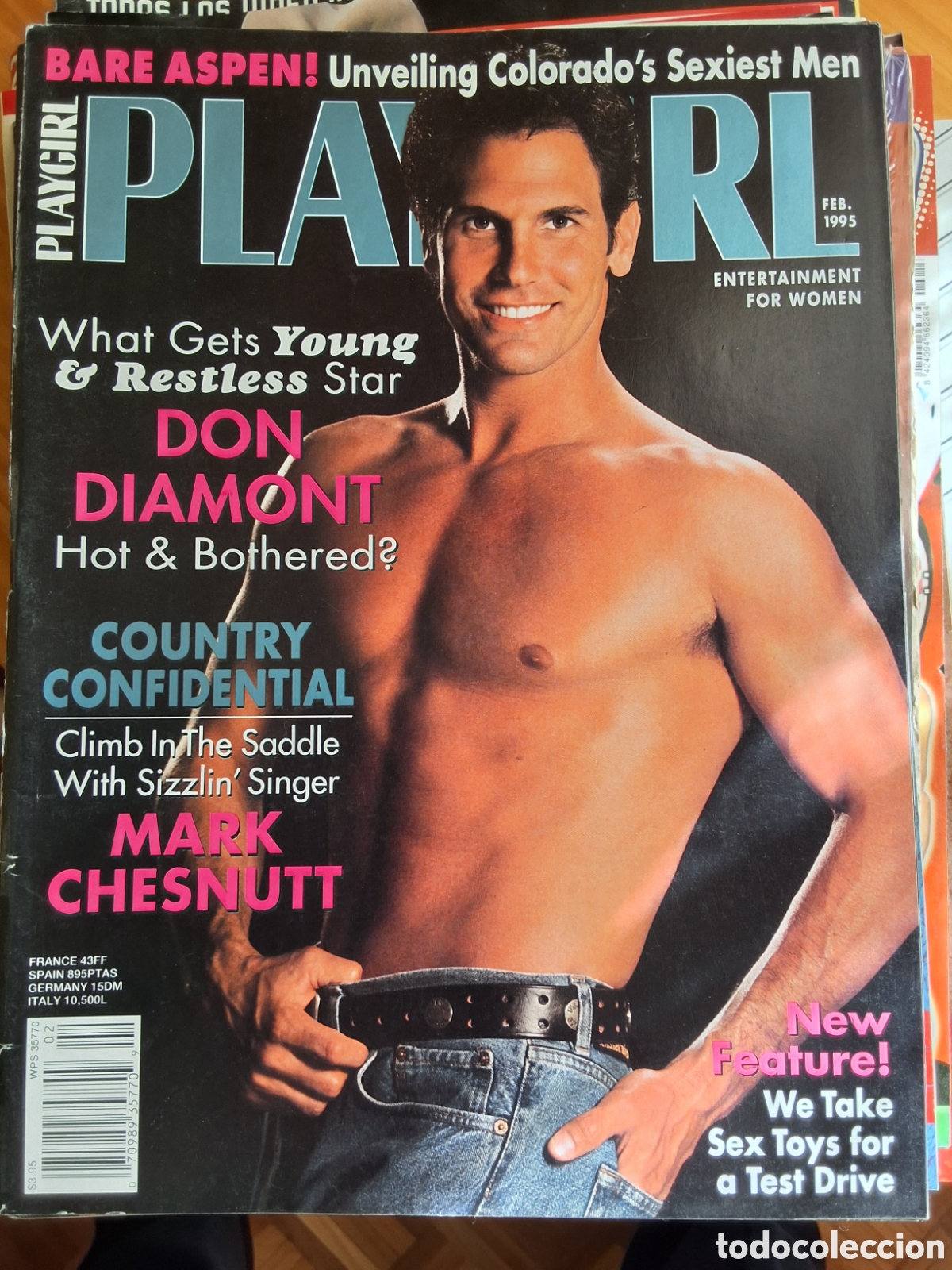 Zeitschriften: Playgirl americano revista er&oacute;tica desnudos masculinos 1995/2 Don Diamont