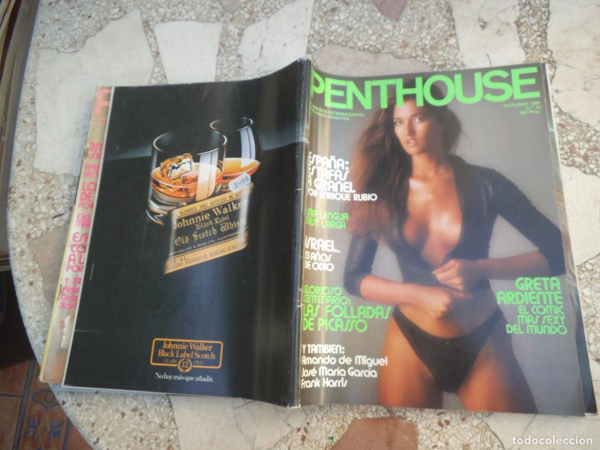 Revistas: Penthouse n&ordm; 43, p&oacute;ster Sonja herdahl, Espa&ntilde;a estafa a granel, la vida sexual de Picasso, click,