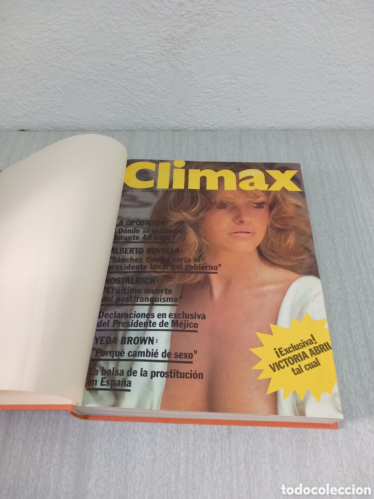 Journals: REVISTA CLIMAX PRIMERAS 12 REVISTAS ENCUADERNACION DE LUJO A&Ntilde;O 1977 COMPLETAS EPOCA DESTAPE