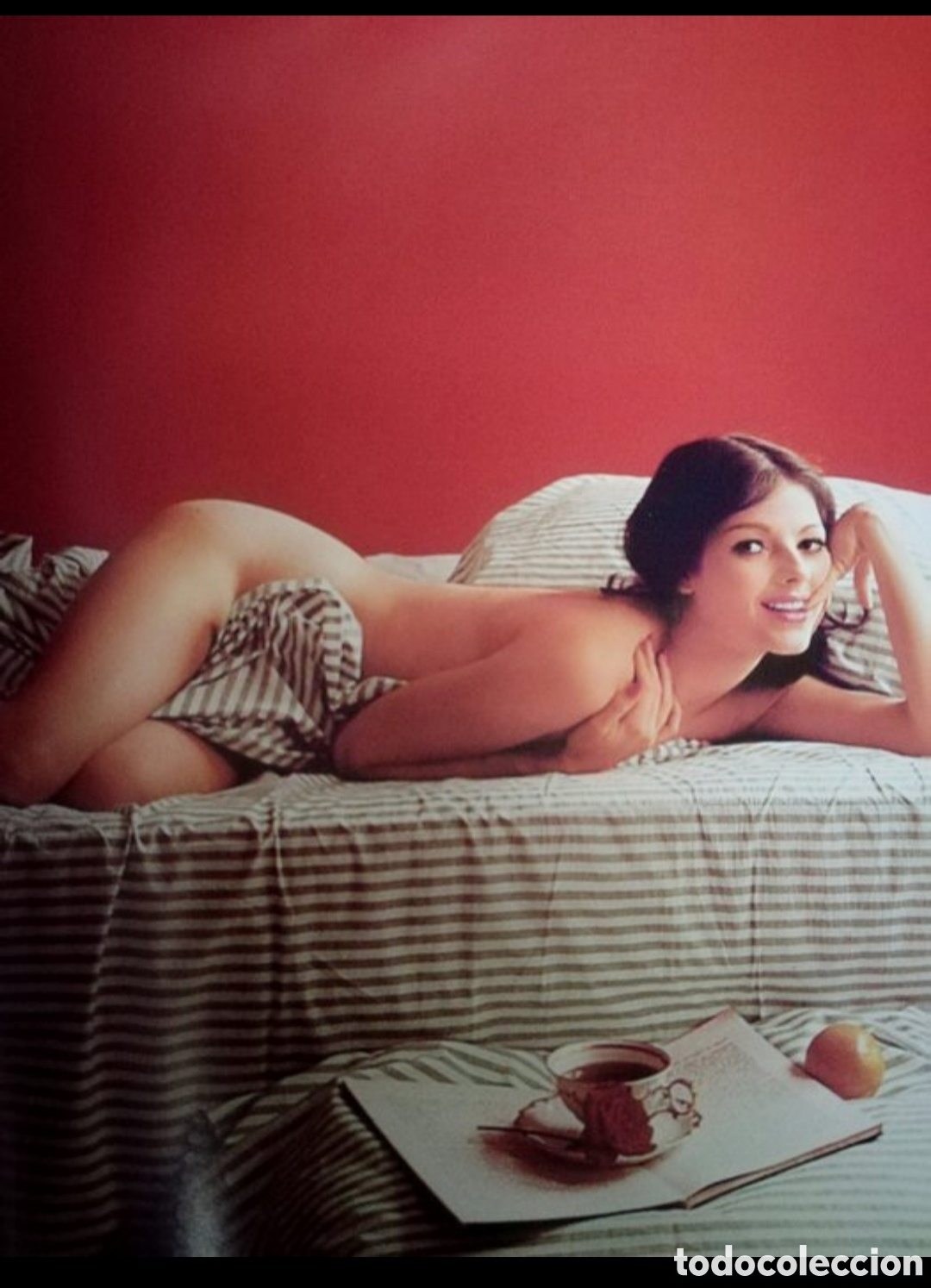 Revistas: Playboy edici&oacute;n limitada - Foto 6