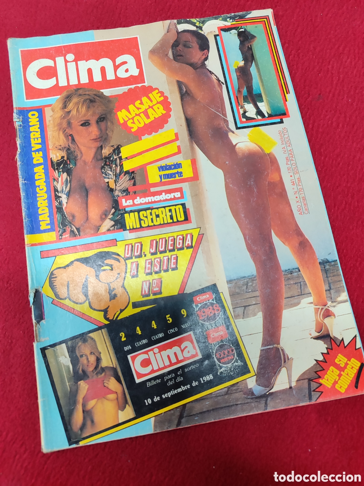 Zeitschriften: Revista para adultos