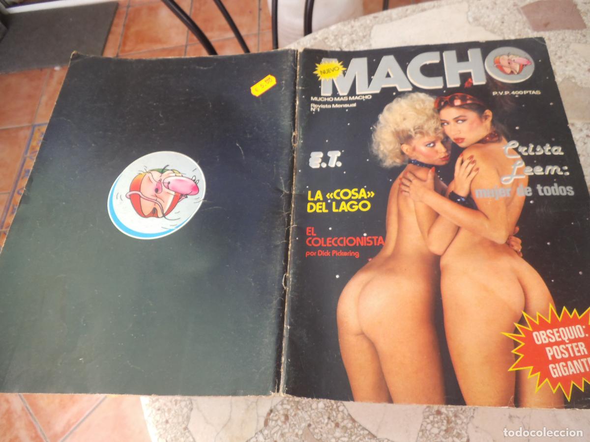Revistas: macho, nuevo n&ordm; 1 , revista erotica espa&ntilde;ola solo para adultos,con poster