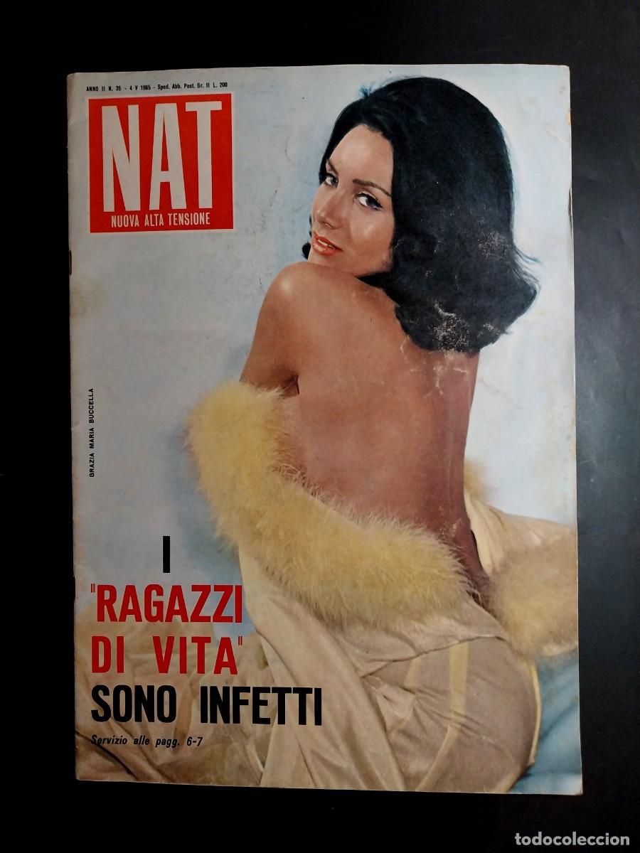 Zeitschriften: NAT N. 35 1965 SYLVA KOSCINA - CARROLL BAKER - PAOLA PITAGORA - MARIA GRAZIA BUCCELLA - GAY INTEREST
