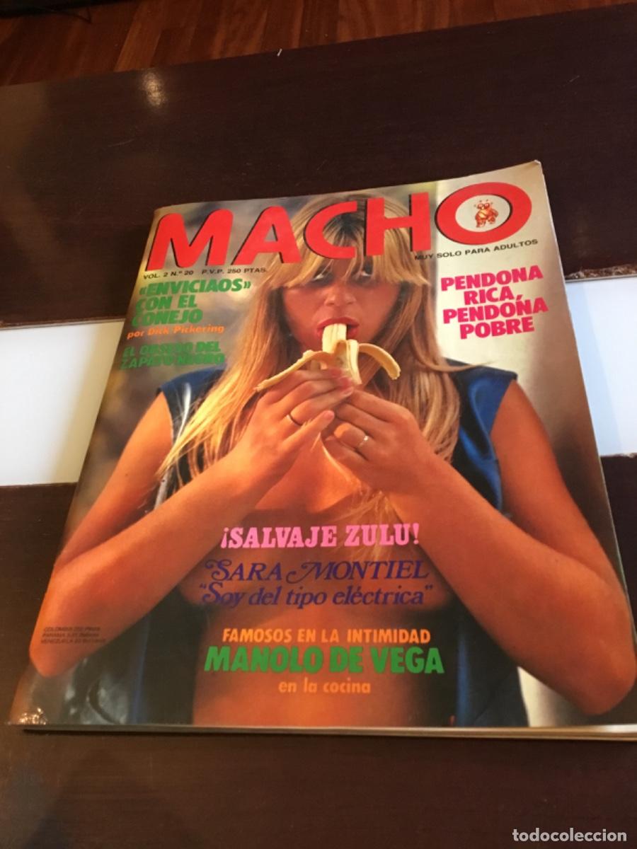 Riviste: Revista para adultos Macho