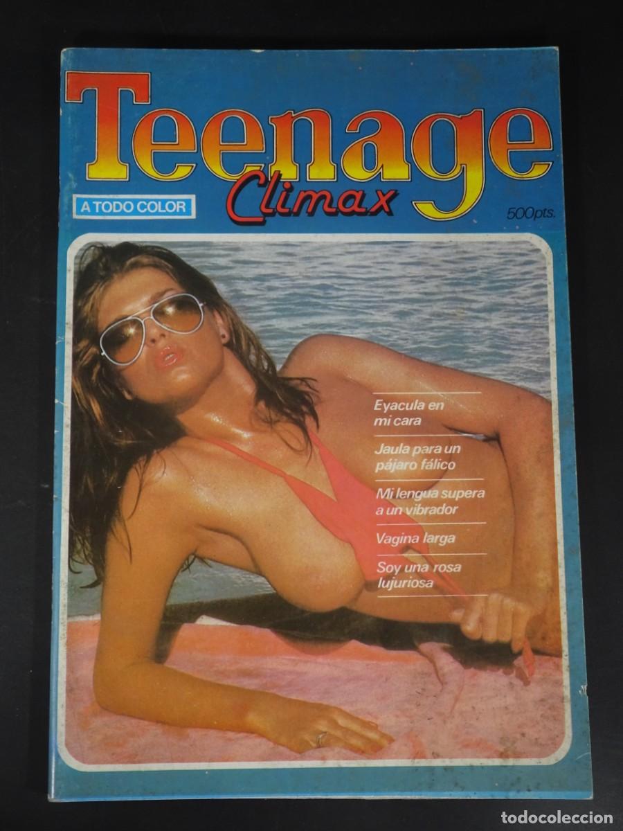 Journals: MAGAZINE PORN, TEENAGE CLIMAX, VINTAGE, TEENS, VER FOTOS