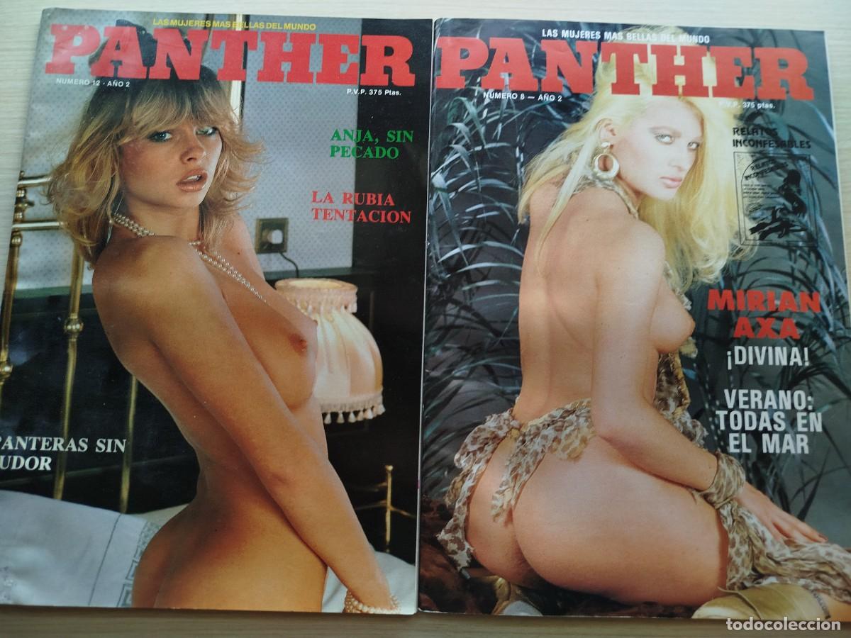 Revistas: Panther N&uacute;m 8 y 12 a&ntilde;o 2