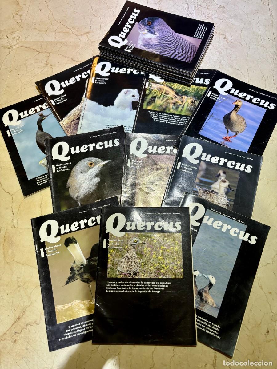 Revistas: 30 Revistas Quercus A&ntilde;os 90