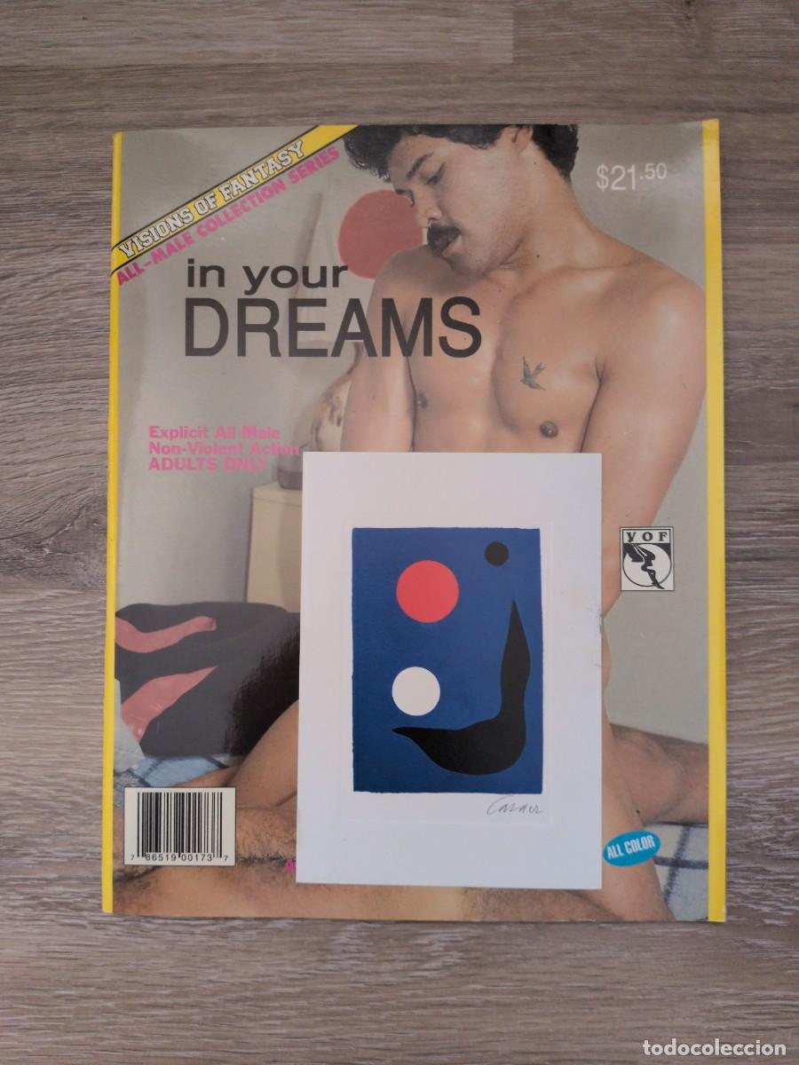 Revistas: Revista gay In your Dreams para adultos