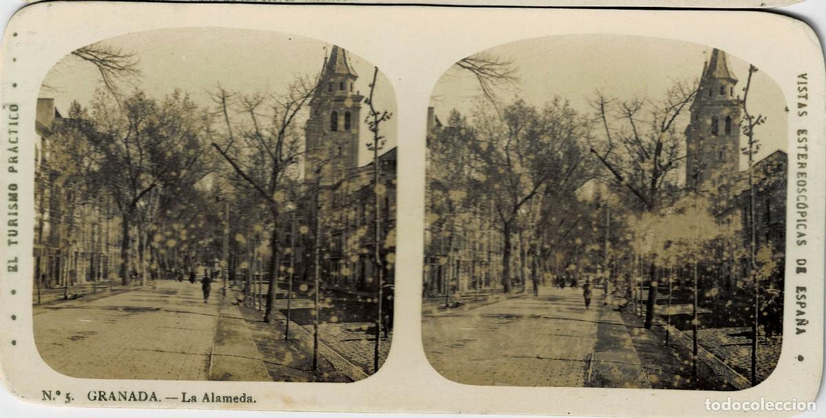 Revistas: FOTOGRAF&Iacute;A ESTEREOSCOPICA GRANADA. LA ALAMEDA. P-ESTEO-425