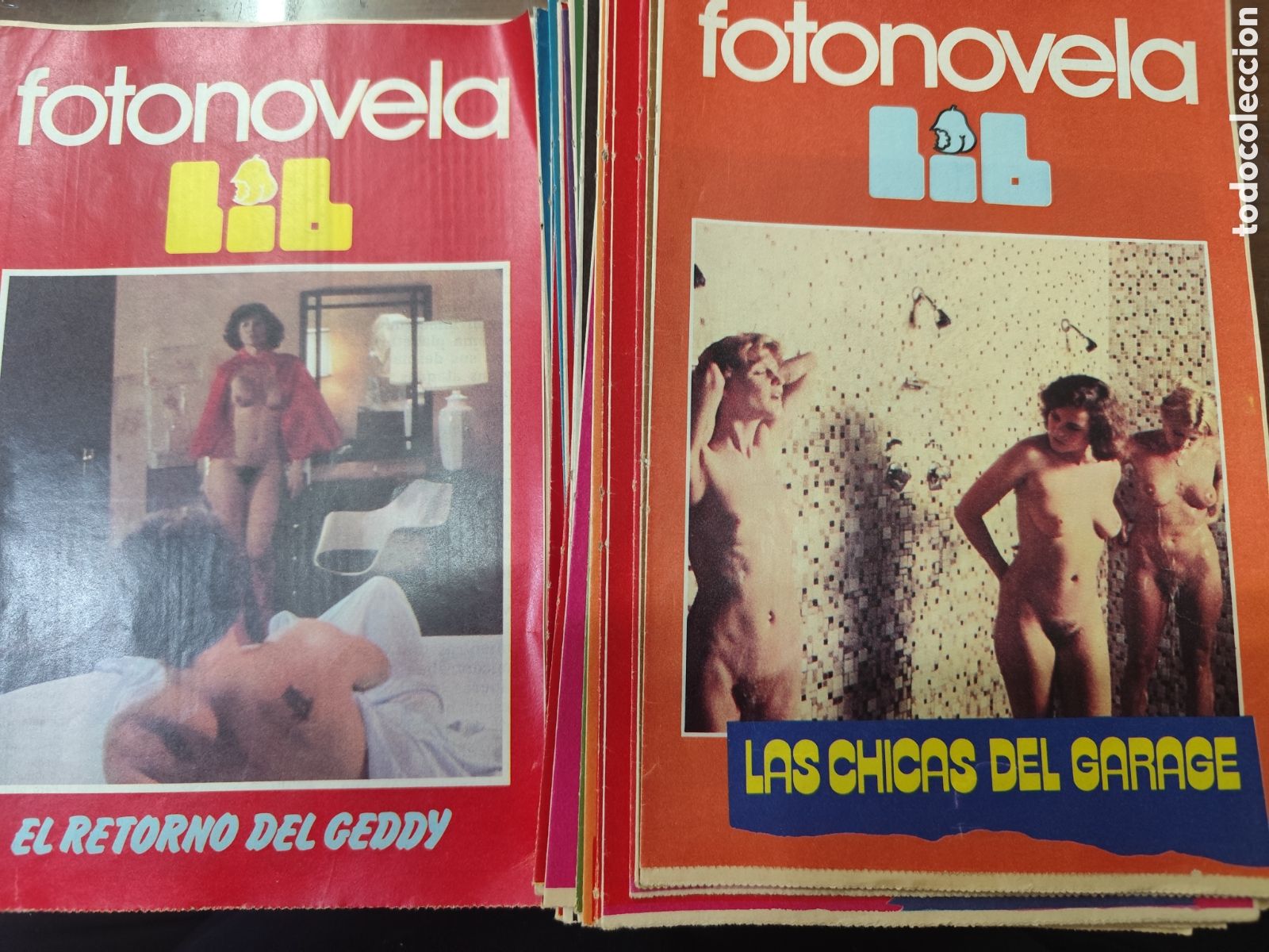 Revistas: Lote 23 ejemplares revista porno er&oacute;ticas Fotonovela LIB