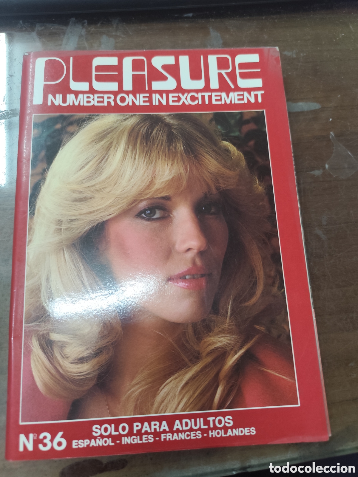 Revistas: Revista Erotica Porno Pleasure n.36. Number one in Excitement.1986