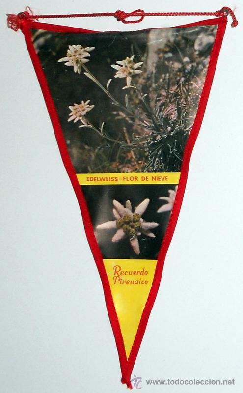 Sammlung von Wimpeln: BANDERIN ANTIGUO de PL&Aacute;STICO. EDELWEISS FLOR DE NIEVE. RECUERDO PIRINEOS. TURISMO VINTAGE.