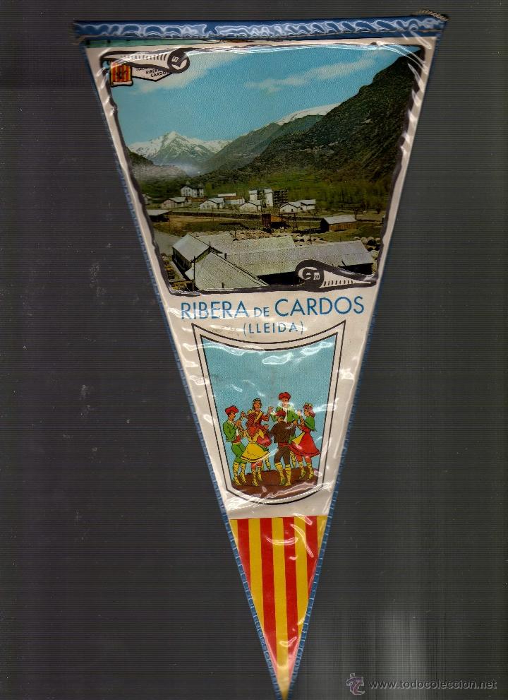 Sammlung von Wimpeln: BANDER&Iacute;N PLASTIFICADO DE LA RIBERA DE CARD&Oacute;S &middot; LLEIDA