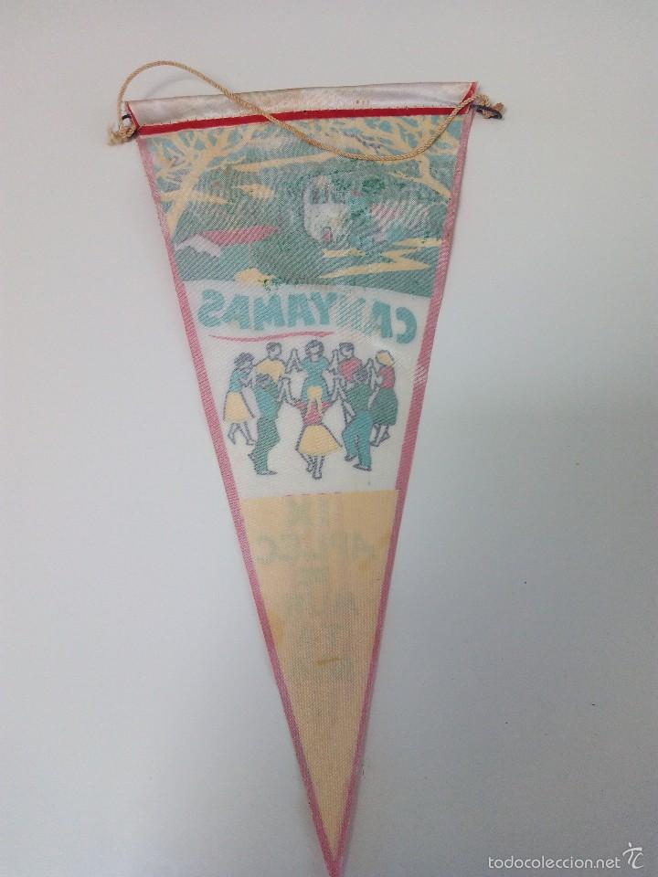 U24 Bandiera delle rane per barbecue, 90 x 150 cm