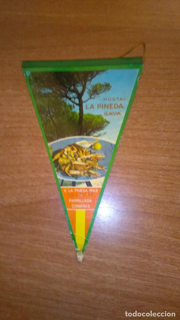 Sammlung von Wimpeln: BANDERIN PEQUE&Ntilde;O  HOSTAL LA PINEDA