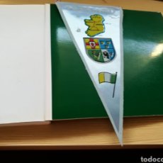 Banderines de colección: ANTIGUO BANDERÍN IRLANDA. Lote 168961309