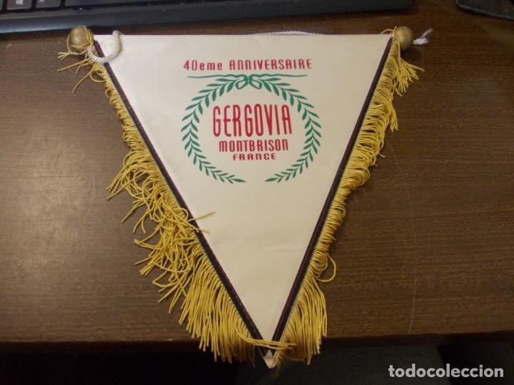 Collection pennants: Gergovia Montbrison France 40eme anniversaire. Forez - Montbrison - Auvergne. Mide 26 cm. largo