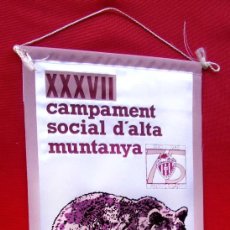 Banderines de colección: BANDERÍN. XXXVII CAMPAMENT SOCIAL D'ALTA MUNTANYA. VALL DE VALDEÓN. PICS D'EUROPA. 1985. 