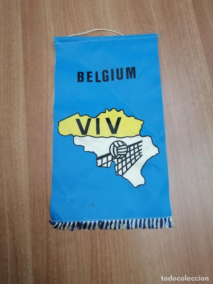 Banderines de colecci&oacute;n: BANDERIN DE BELGIUM - VIV