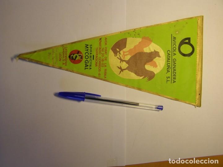 Bandierine di collezione: Bander&iacute;n de la Avicola Ganadera de Catalunya, a&ntilde;os 60.