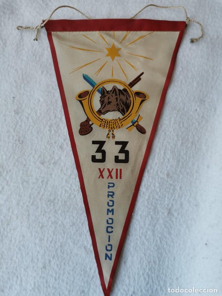 Banderines de colecci&oacute;n: 33 XXII Promoci&oacute;n