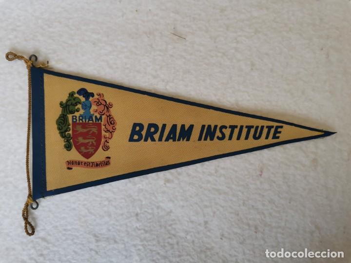 Galhardetes de cole&ccedil;&atilde;o: Bander&iacute;n Briam Institute
