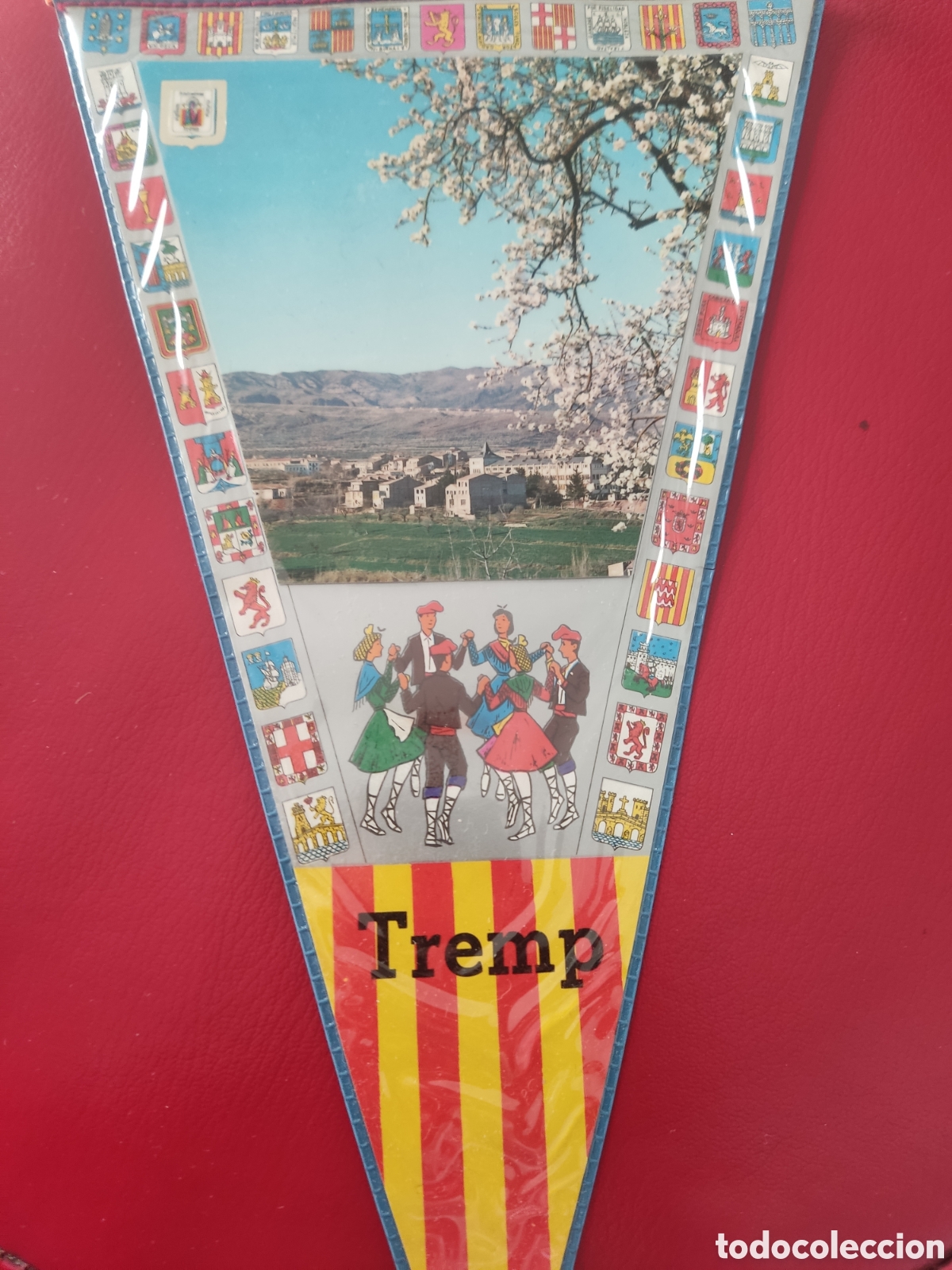 Sammlung von Wimpeln: Bander&iacute;n Tremps a&ntilde;os 60