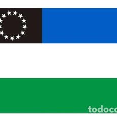 Banderines de colección: 12 BANDERAS DE RIO NEGRO 90 X 150CM OFICIAL REFUERZO Y SOGAS. Lote 401473199