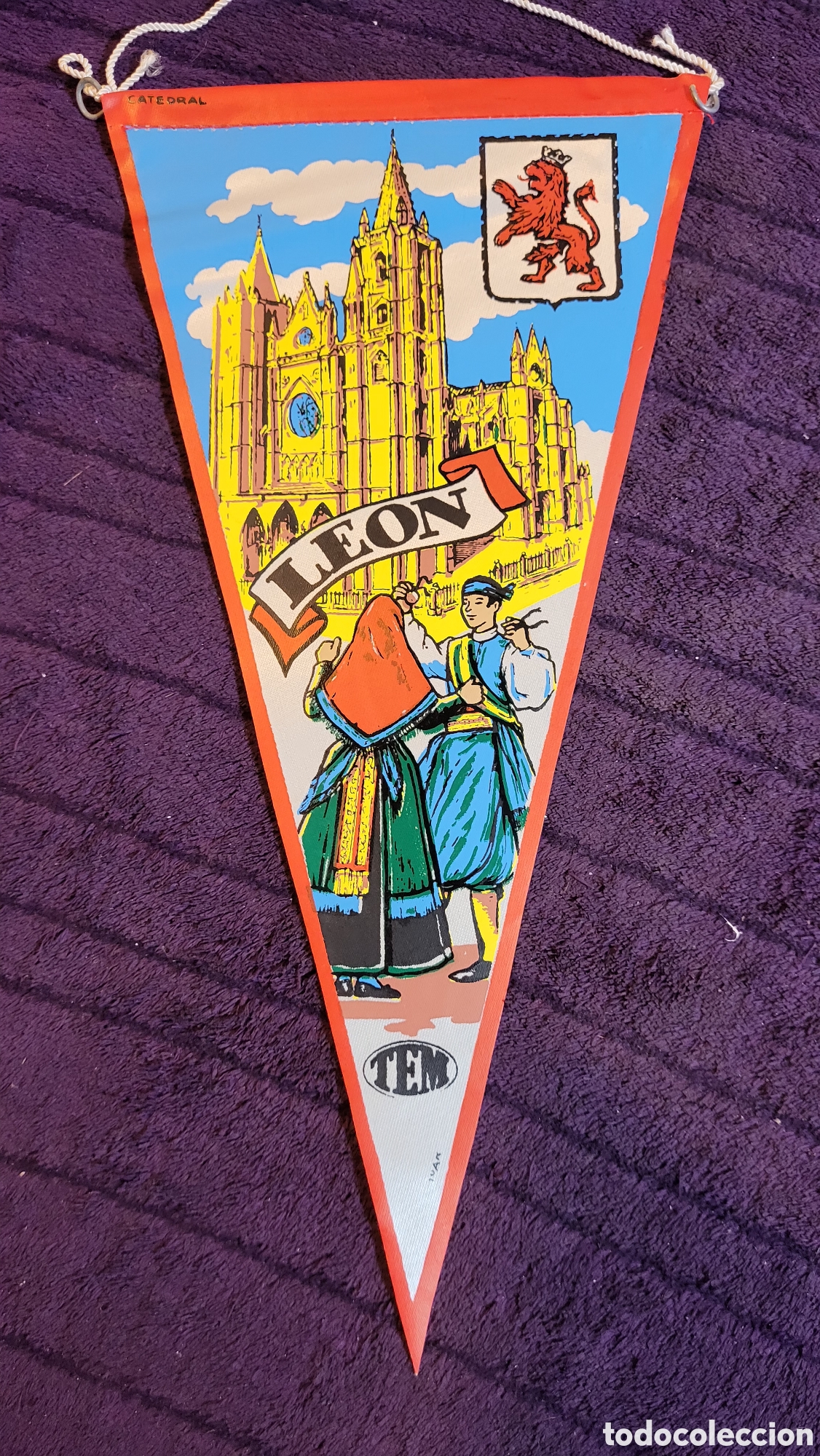 Banderines de colecci&oacute;n: Bander&iacute;n Le&oacute;n - Foto 1