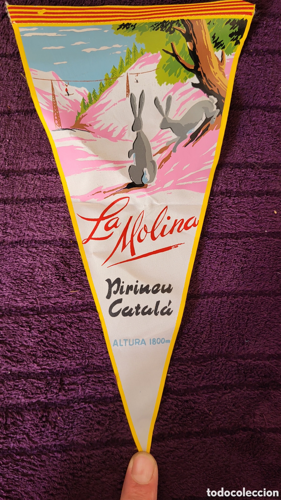 Banderines de colecci&oacute;n: Bander&iacute;n La Molina - Foto 1