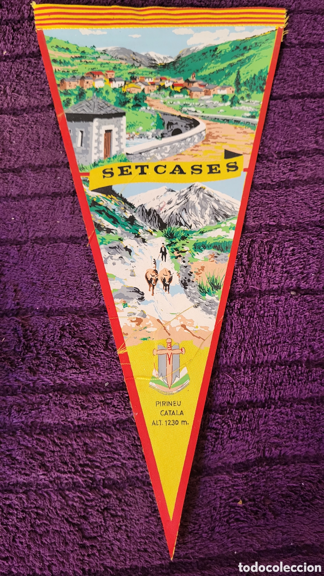 Banderines de colecci&oacute;n: Bander&iacute;n Setcases - Foto 1