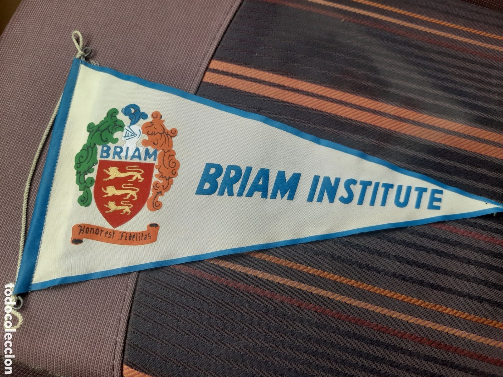 Fanions de collection: Antiguo banderin, Briam Institute, mide 26 cm de altura